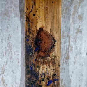 Dessous de la planche de skate artisanale, de bois marquetés, sculptés et peinture à la main, pour un tableau original sur le thème du poisson.