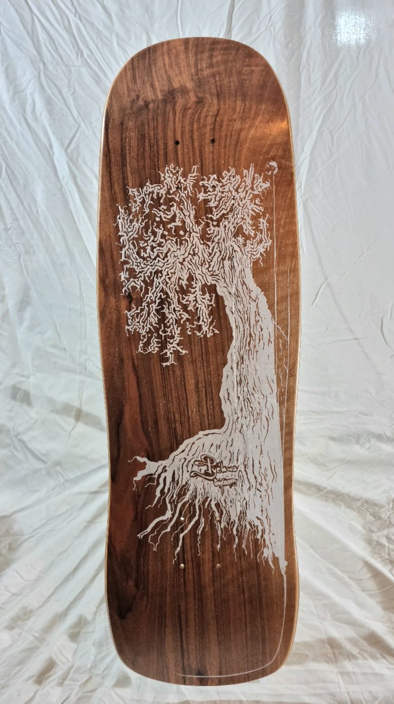 Vue de dessous du skateboard, son pli de noyer français et la sérigraphie de l'arbre, logo de la marque Pyébwa Skateboards
